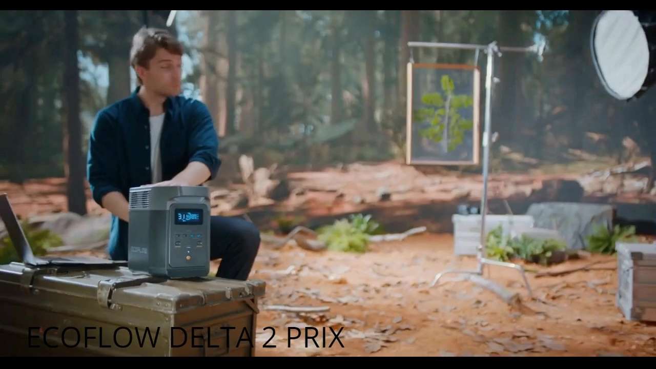 Ecoflow Delta 2 Ça Veut Dire Quoi